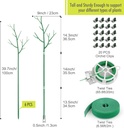 6-pack-plant-support-stakes-for-indoor-p-3.jpg