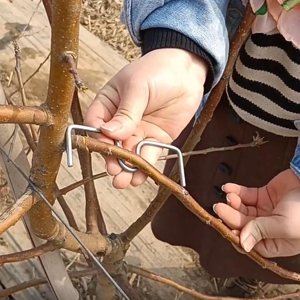 fruit-tree-branch-puller-tying-machine-f-3.jpg