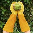 thorn-proof-gardening-gloves-100-cowhide-3.jpg