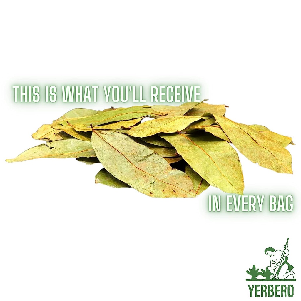 yerbero---whole-dried-graviola-soursop-l-2.jpg