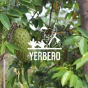 yerbero---whole-dried-graviola-soursop-l-4.jpg