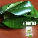 yerbero---whole-dried-graviola-soursop-l-5.jpg