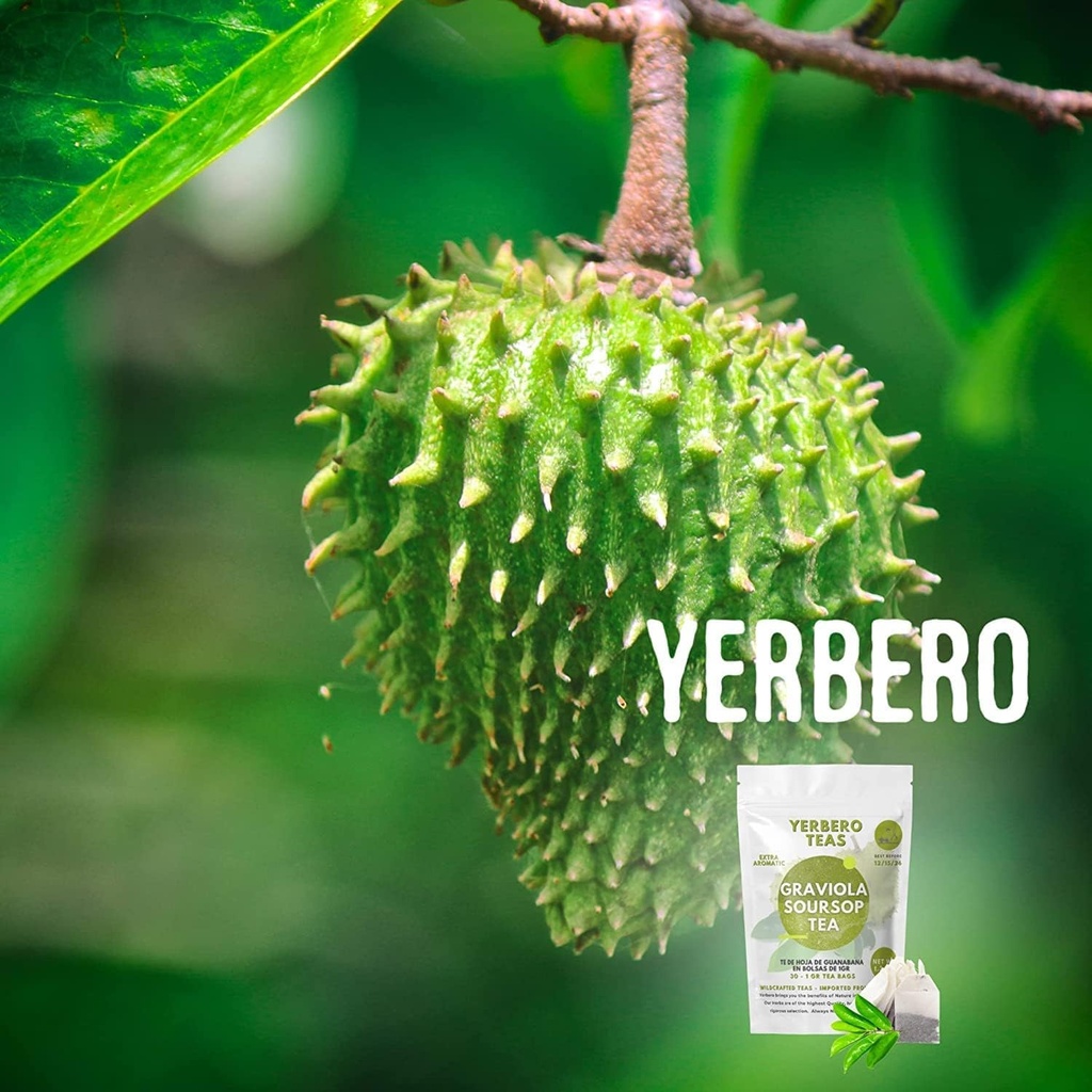 yerbero---whole-dried-graviola-soursop-l-6.jpg
