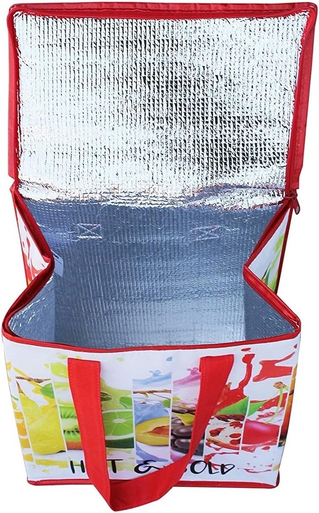 earthwise-insulated-reusable-grocery-bag-2.jpg