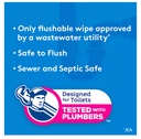 cottonelle-fresh-care-flushable-cleansin-2.jpg