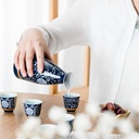 12-pcs-japanese-sake-set-ceramic-painted-5.jpg