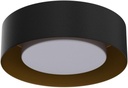 modern-black-and-gold-flush-mount-ceilin-4.jpg
