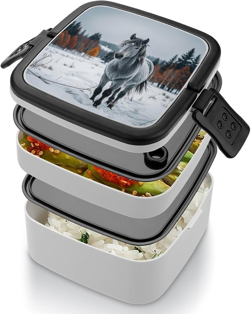 adult-double-layer-bento-box-portable-gr-4.jpg