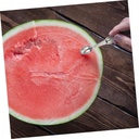ice-scoop-stainless-steel-fruit-spoon-tb-4.jpg