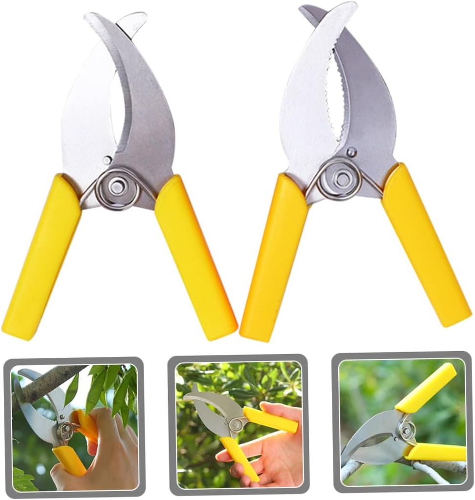 6pcs-stainless-steel-fruit-tree-pruner-t-2.jpg