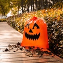 joyin-6-pcs-halloween-pumpkin-leaf-bags--3.jpg