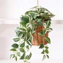 handcrafted-willow-hanging-basket-with-h-4.jpg