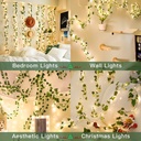 suddus-vine-with-fairy-lights-battery-op-2.jpg