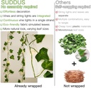 suddus-vine-with-fairy-lights-battery-op-4.jpg