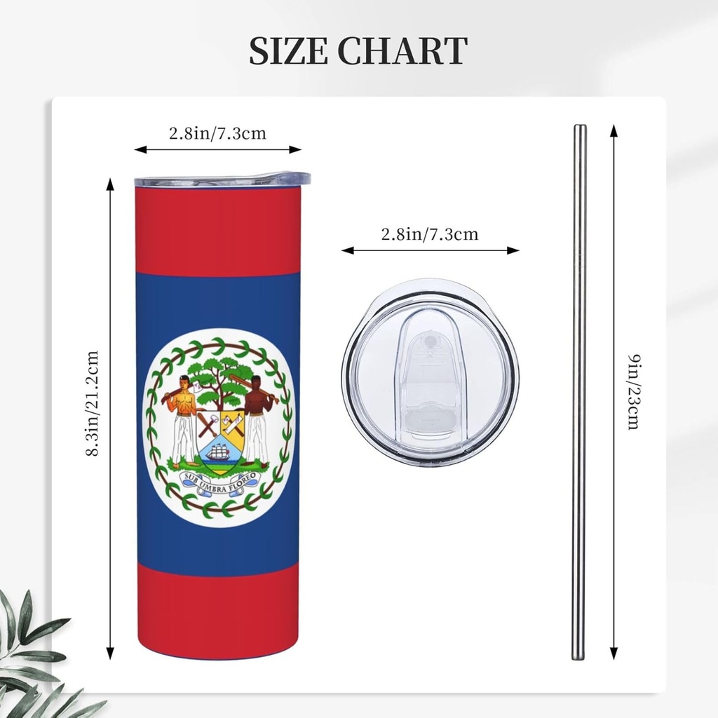 20ozbelize-flag-stainless-steel-straw-li-5.jpg