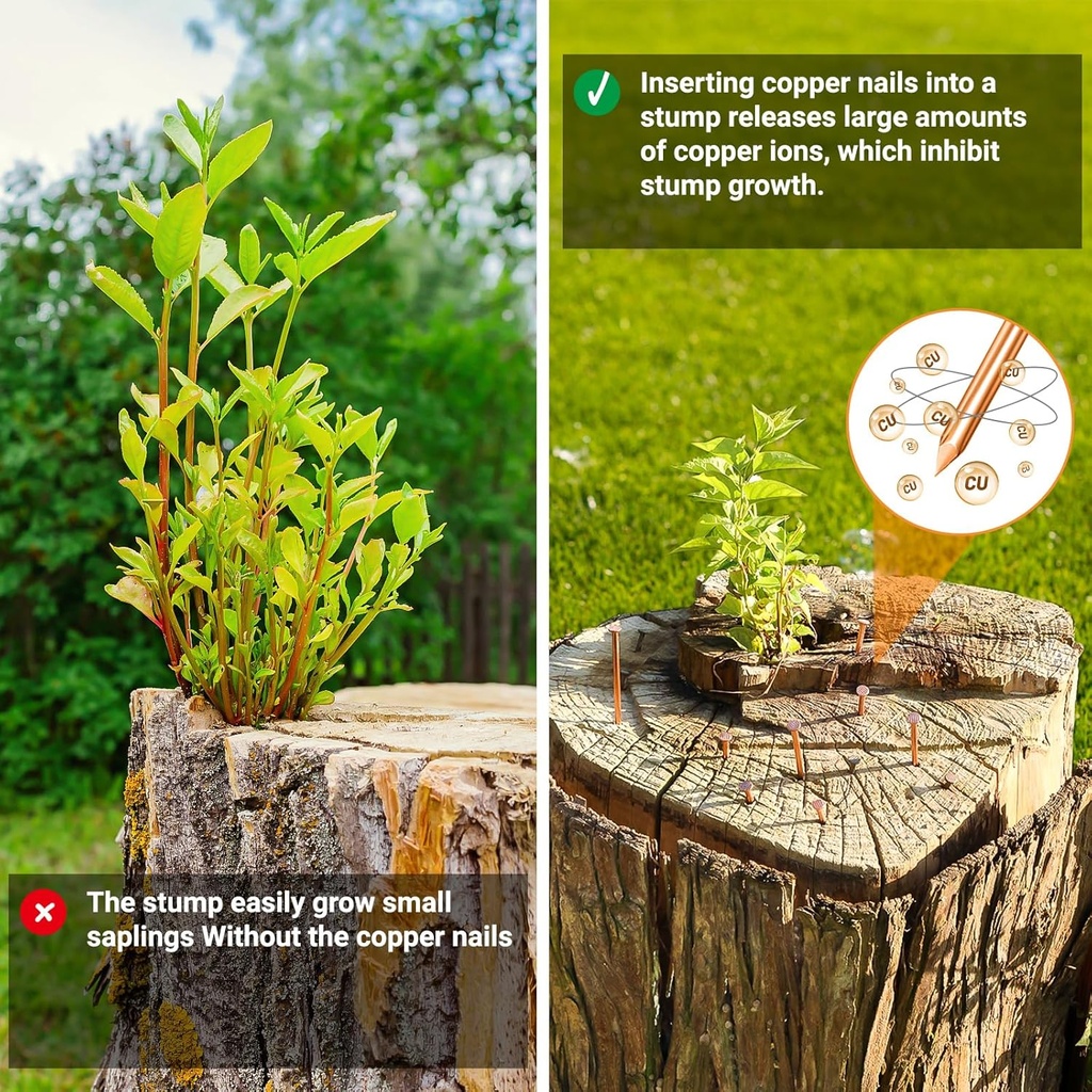 25-pcs-copper-nails-for-killing-trees-st-3.jpg