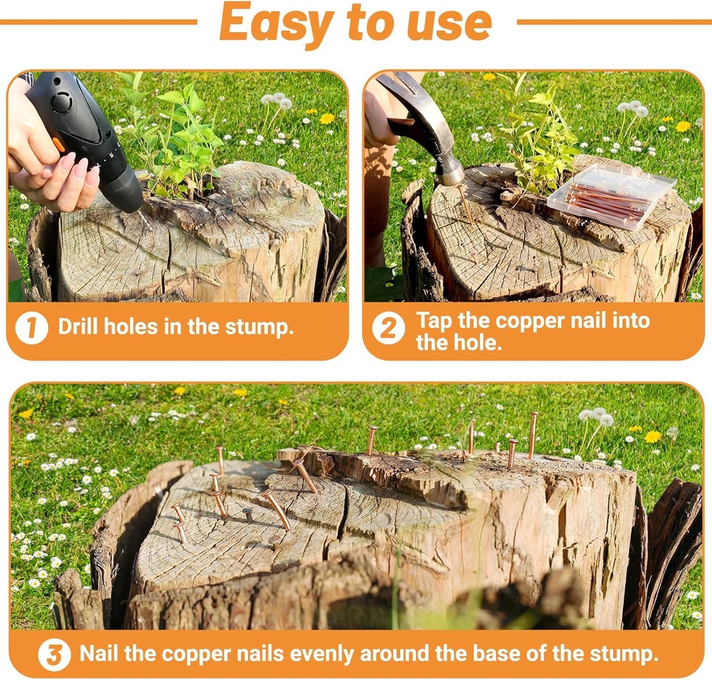 25-pcs-copper-nails-for-killing-trees-st-4.jpg