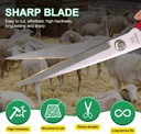 manual-wool-shearing-shear-stainless-ste-5.jpg