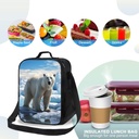 insulated-lunch-bag-for-women-men-polar--5.jpg
