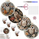 qbqbq-owl-embroidery-kit---82in-owl-punc-5.jpg