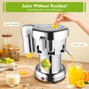 commercial-juice-extractor-electric-frui-2.jpg