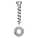 14-x-2-100-pack-lag-screw-kit-100-screws-2.jpg