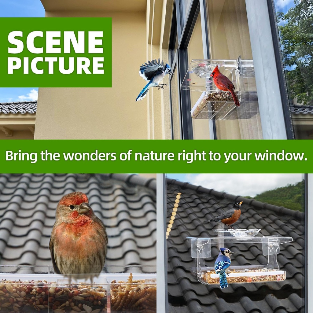 window-bird-feeder-with-non-marking-self-6.jpg