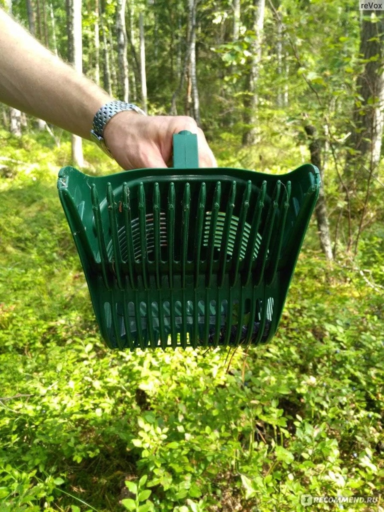 berry-picker-rake---ergonomic-blueberry--5.jpg