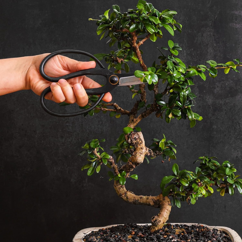 professional-bonsai-butterfly-scissors-p-4.jpg