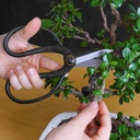 professional-bonsai-butterfly-scissors-p-5.jpg