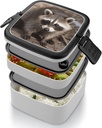 cub-raccoon-bento-box-with-compartments--4.jpg