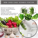 herb-saver-for-refrigerator-fresh-herbs--3.jpg
