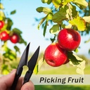 jinjian-bonsai-pruning-scissors-12pcs----3.jpg