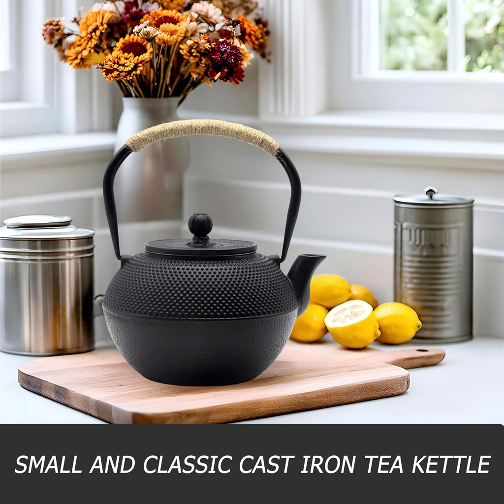 yjx-cast-iron-tea-pot-set-japanese-tetsu-3.jpg