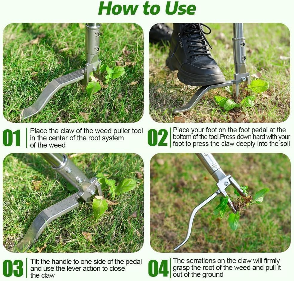 stainless-steel-stand-up-weed-puller-too-6.jpg
