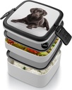 dog-bento-box-double-layer-lunch-box-for-4.jpg