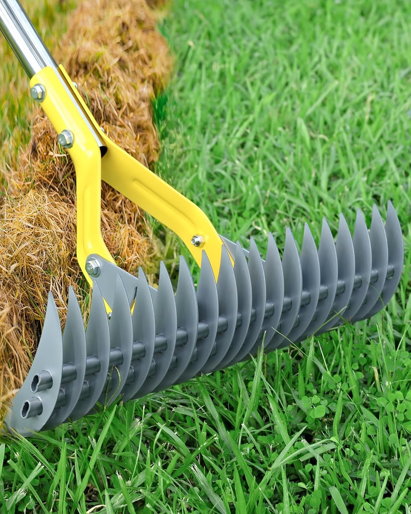 Thatch Rake,Dual-Sided Lawn Dethatcher with Stainless Steel Tines Efficient Thatching Tool for Removing Dead Grass & Moss Heavy Duty & Ergonomic Handle