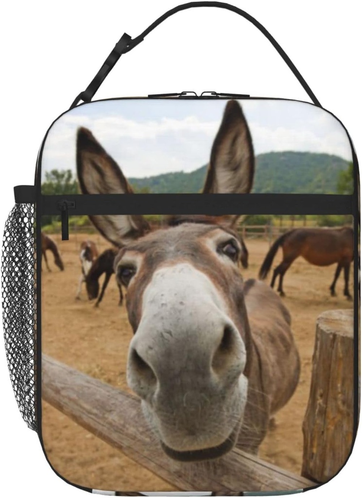 Funny Donkey Reusable Lunch Bag Lunch Box Kids,Kids Lunch Box For Girls Boys,Insulated Lunch Bag For Kid,Easy-To-Clean Bento Box Bento Bag,Loncheras Lunchbox For Work/School/Picnic