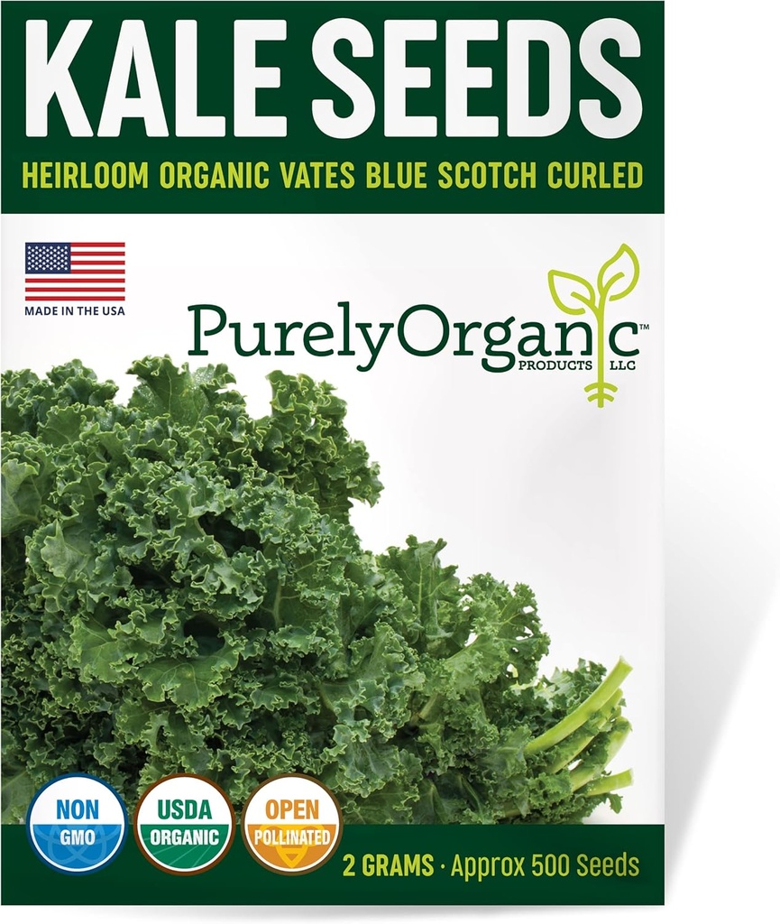 Organic Kale Seeds (Vates Blue Scotch Curled) - Approx 500 Seeds - USDA Organic, Non-GMO, Open Pollinated, Heirloom, USA Origin