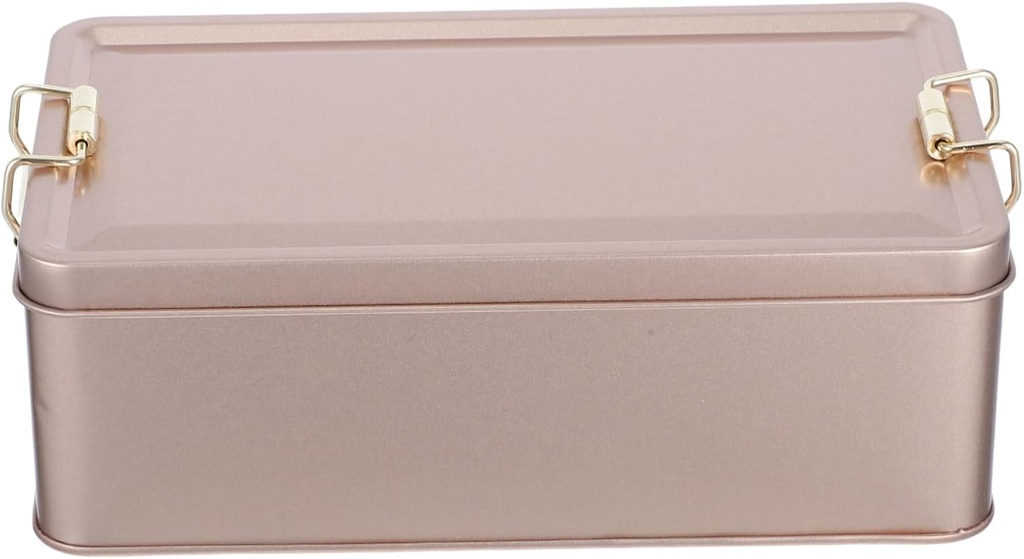 Tin Container with Buckle Rectangular Metal Storage Box for Kitchen for Cookies Candy and Other Treats Stylish Design for Home