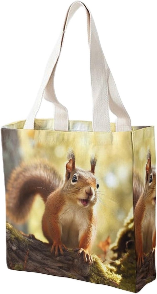 Canvas Tote Bag for Women Reusable Grocery Bag Funny Squirrel Shopping Bags Casual Shoulder Bag Handbag