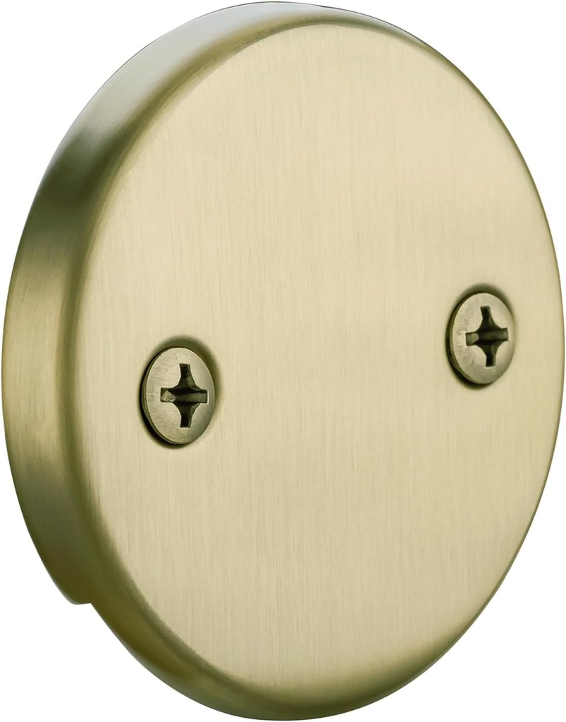 Two Hole Bathtub Overflow Plate and Screws, Brushed Gold