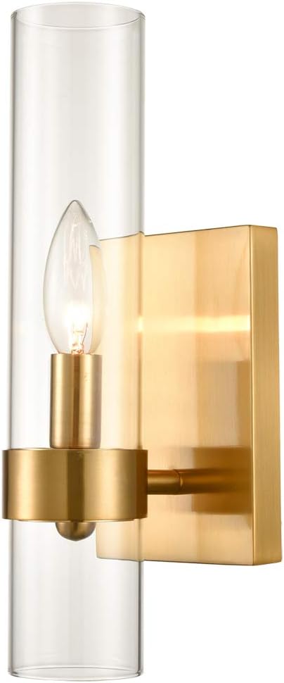 DANSEER Brushed Gold with Glass Shade 1 Light Wall Sconces Wall Light Fixture
