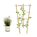3Pack Bamboo Trellis 16 Inch Fan Shaped Small Plant Trellis for Indoor Potted Plants Climbing Monstera Orchid Vine Hoya Houseplant