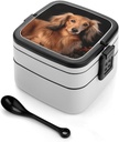 Adult Double-Layer Bento Box Long Haired Dachshund Portable Lunch Box with Spoon And Invisible Handle Leakproof Microwave-Safe Food Container for Work Travel Camping
