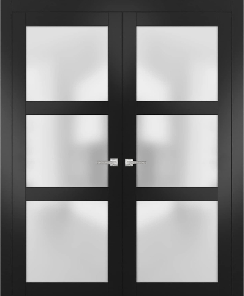 Sartodoors Lucia 2552 | Double Swing Interior French Doors with Glass with Frosted Glass, Solid Wood, Prehung, Hardware Included, 60x80, Black, Modern