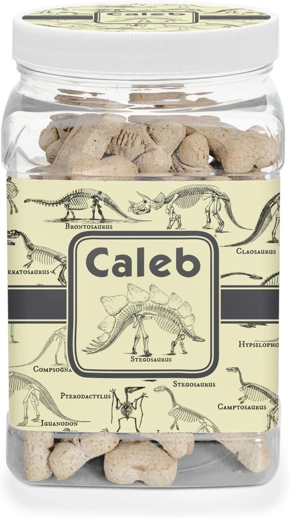 YouCustomizeIt Personalized Dinosaur Skeletons Dog Treat Jar