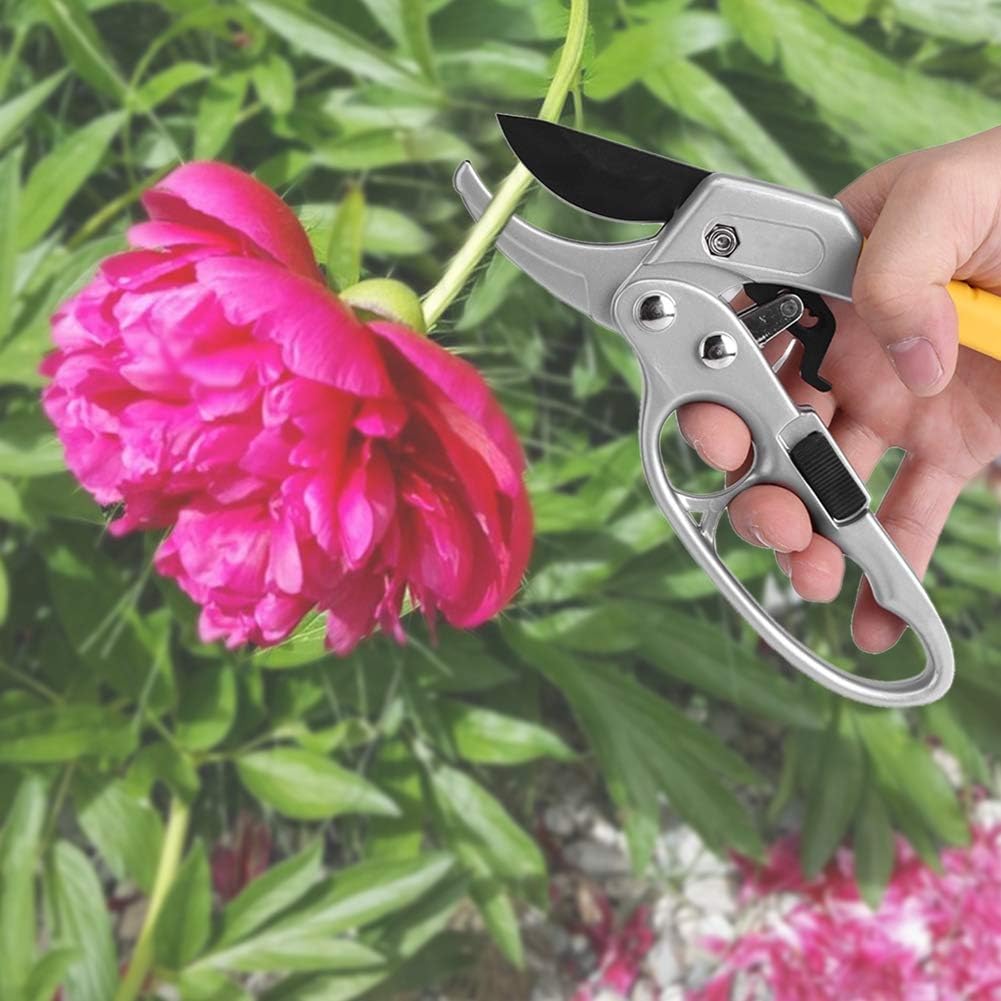 Ratchet Garden Pruning Shears Cutter,Gardening Plant Scissor Anvil Clippers Tree Trimmers Secateurs Reinforced Design Handle Tools Scissors Loppers for Arthritis and Weak Hands