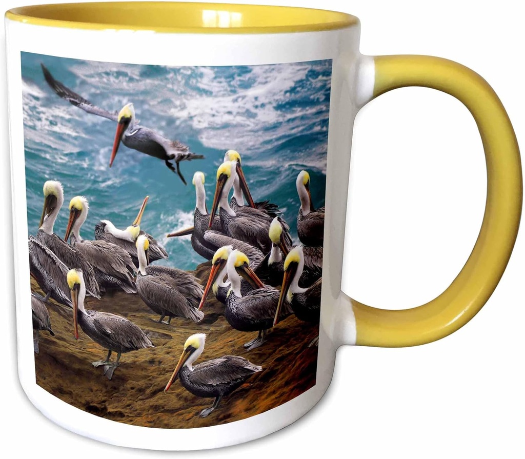 3dRose USA, Oregon, Newport. Brown pelicans at Devils Punch Bowl. 11oz Two-Tone Yellow Mug