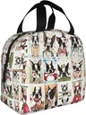 Boston Terrier Lunch Box - Reusable, Leakproof, Insulated, Portable, BPA Free